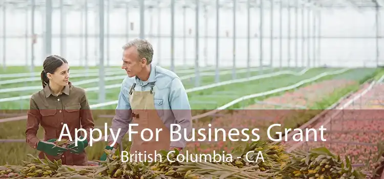 Apply For Business Grant British Columbia - CA